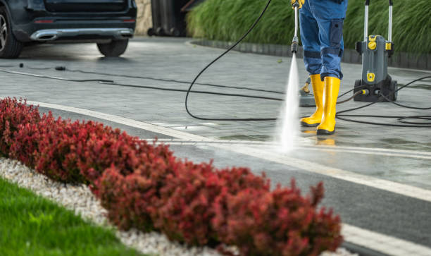 Best Post-Construction Pressure Washing  in Rio Rico, AZ